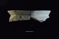 藏品(陶罐)的圖片